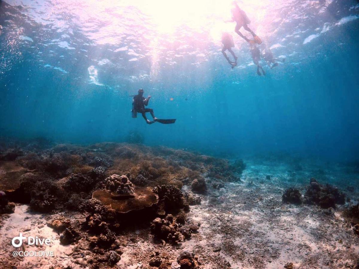 מלון Cooldive סמפורנה מראה חיצוני תמונה